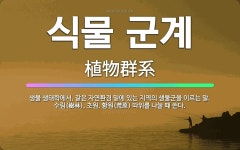 🌟식물 군계: 생물 생태학에서, 같은 자연환경 밑에 있는 지역의 생물군을 이르는 말. 수림(樹林), 초원,... - 표준국어대사전