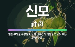 🌟신모: 젊은 무당을 수양딸로 삼아 신(神)의 계통을 전하여 주는 늙은 무당. - 표준국어대사전
