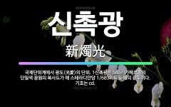 🌟신촉광: 국제단위계에서 광도(光度)의 단위. 1신촉광은 540기가헤르츠의 단일색 광원의 복사도가 매 스테... - 표준국어대사전