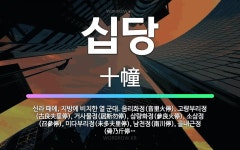 🌟십당: 신라 때에, 지방에 비치한 열 군대. 음리화정(音里火停), 고량부리정(古良夫里停), 거사물정(居斯... - 표준국어대사전