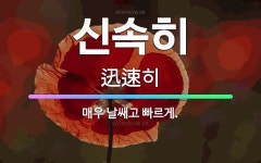 🌟신속히: 매우 날쌔고 빠르게. - 표준국어대사전