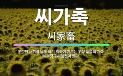 🌟씨가축: 우수한 새끼를 낳게 하기 위하여 기르는 우량 품종의 가축. 씨수컷과 씨암컷이 있다. - 표준국어대사전