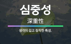 🌟심중성: 생각이 깊고 침착한 특성. - 표준국어대사전