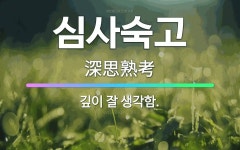 🌟심사숙고: 깊이 잘 생각함. - 표준국어대사전