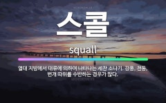 🌟스콜: 열대 지방에서 대류에 의하여 나타나는 세찬 소나기. 강풍, 천둥, 번개 따위를 수반하는 경우가 많다. - 표준국어대사전