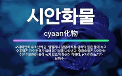 🌟시안화물: 사이안화 수소산의 염. 알칼리나 알칼리 토류 금속의 염은 물에 녹고 수용액은 가수 분해가 되어... - 표준국어대사전