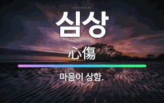 🌟심상: 마음이 상함. - 표준국어대사전