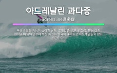 🌟아드레날린 과다증: 부신 속질의 기능이 높아진 상태. 고혈압증, 동맥 경화증, 만성 심장 판막증 따위의 ... - 표준국어대사전