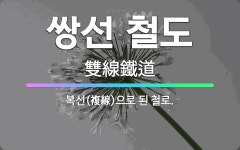 🌟쌍선 철도: 복선(複線)으로 된 철로. - 표준국어대사전