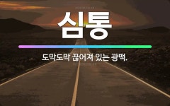 🌟심통: 도막도막 끊어져 있는 광맥. - 표준국어대사전