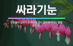 🌟싸라기눈: 빗방울이 갑자기 찬 바람을 만나 얼어 떨어지는 쌀알 같은 눈. - 표준국어대사전