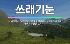 🌟쓰래기눈: → 싸라기눈. (싸라기눈: 빗방울이 갑자기 찬 바람을 만나 얼어 떨어지는 쌀알 같은 눈.) - 표준국어대사전