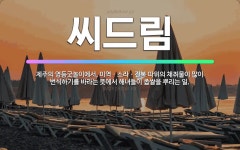 🌟씨드림: 제주의 영등굿놀이에서, 미역ㆍ소라ㆍ전복 따위의 채취물이 많이 번식하기를 바라는 뜻에서 해녀들이 ... - 표준국어대사전