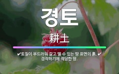 🌟경토: 토질이 부드러워 갈고 맬 수 있는 땅 표면의 흙., 경작하기에 적당한 땅. - 표준국어대사전