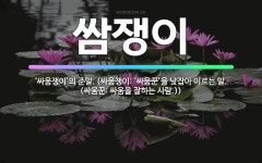 🌟쌈쟁이: ‘싸움쟁이’의 준말. (싸움쟁이: ‘싸움꾼’을 낮잡아 이르는 말. (싸움꾼: 싸움을 잘하는 사람.)) - 표준국어대사전