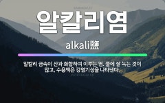 🌟알칼리염: 알칼리 금속이 산과 화합하여 이루는 염. 물에 잘 녹는 것이 많고, 수용액은 강염기성을 나타낸다. - 표준국어대사전