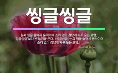 🌟씽글씽글: 눈과 입을 슬며시 움직이며 소리 없이 정답게 자꾸 웃는 모양. ‘싱글싱글’보다 센 느낌을 준다... - 표준국어대사전