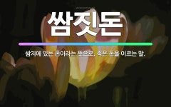 🌟쌈짓돈: 쌈지에 있는 돈이라는 뜻으로, 적은 돈을 이르는 말. - 표준국어대사전