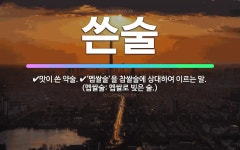 🌟쓴술: 맛이 쓴 약술., ‘멥쌀술’을 찹쌀술에 상대하여 이르는 말. (멥쌀술: 멥쌀로 빚은 술.) - 표준국어대사전