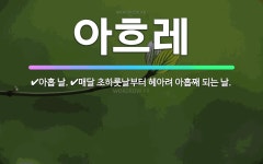 🌟아흐레: 매달 초하룻날부터 헤아려 아홉째 되는 날., 아홉 날. - 표준국어대사전