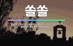 🌟쏠쏠: ‘쏠쏠하다’의 어근. (쏠쏠하다: 품질이나 수준, 정도 따위가 웬만하여 괜찮거나 기대 이상이다.) - 표준국어대사전