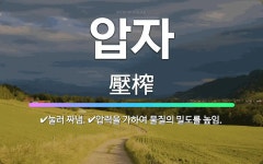 🌟압자: 압력을 가하여 물질의 밀도를 높임., 눌러 짜냄. - 표준국어대사전