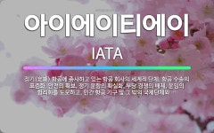 🌟아이에이티에이: 정기(定期) 항공에 종사하고 있는 항공 회사의 세계적 단체. 항공 수송의 표준화, 안전의... - 표준국어대사전
