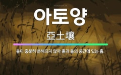 🌟아토양: 돌이 충분히 분해되지 않아 흙과 돌의 중간에 있는 흙. - 표준국어대사전