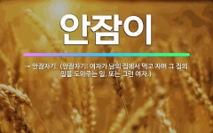 안잠이: → 안잠자기. (안잠자기: 여자가 남의 집에서 먹고 자며 그 집의 일을 도와주는 일. 또는 그런... - 표준국어대사전