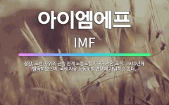 🌟아이엠에프: 철강, 조선 따위의 금속 관계 노동조합의 국제적인 조직. 1940년에 발족하였으며, 국제 자... - 표준국어대사전