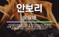 🌟안보리: ‘안전보장이사회’를 줄여 이르는 말. (안전 보장 이사회: 세계 평화와 안전을 지키고 분쟁을 해... - 표준국어대사전
