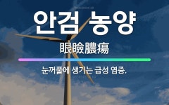 🌟안검 농양: 눈꺼풀에 생기는 급성 염증. - 표준국어대사전