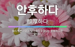 🌟안후하다: 몹시 뻔뻔스럽다. 낯가죽이 두껍다는 뜻에서 나온 말이다. - 표준국어대사전