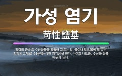 🌟가성 염기: 알칼리 금속의 수산화물을 통틀어 이르는 말. 물이나 알코올에 잘 녹는 흰빛의 고체로 수용액은... - 표준국어대사전