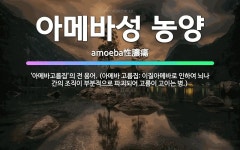 🌟아메바성 농양: ‘아메바고름집’의 전 용어. (아메바 고름집: 이질아메바로 인하여 뇌나 간의 조직이 부분... - 표준국어대사전
