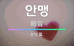 🌟안맹: 눈이 멂. - 표준국어대사전
