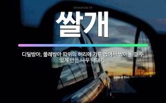 🌟쌀개: 디딜방아, 물레방아 따위의 허리에 가로 얹어서 방아를 걸 수 있게 만든 나무 막대기. - 표준국어대사전