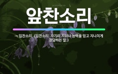 🌟앞찬소리: → 입찬소리. (입찬소리: 자기의 지위나 능력을 믿고 지나치게 장담하는 말.) - 표준국어대사전