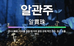 🌟알관주: 한시(漢詩) 따위를 꼲을 때 아주 잘된 곳에 찍던 관주. 둥근 표를 한다. - 표준국어대사전