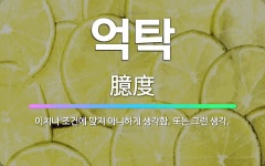 🌟억탁: 이치나 조건에 맞지 아니하게 생각함. 또는 그런 생각. - 표준국어대사전