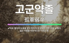 🌟고군약졸: 따로 떨어져 도움을 받지 못하게 된 군대의 약한 군사., 힘이 없는 사람을 비유적으로 이르는 말. - 표준국어대사전