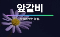 🌟앞갈비: 앞쪽에 있는 늑골. - 표준국어대사전
