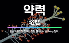 🌟약력: 일반 사람에게 필요한 것만 인쇄하여 반포하는 달력. - 표준국어대사전