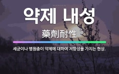 🌟약제 내성: 세균이나 병원충이 약제에 대하여 저항성을 가지는 현상. - 표준국어대사전