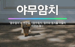 🌟야무얌치: ‘염우염치’의 변한말. (염우염치: 염우와 염치를 아울러 이르는 말.) - 표준국어대사전