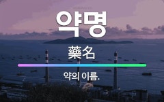 🌟약명: 약의 이름. - 표준국어대사전