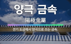 🌟양극 금속: 전기 도금에서 양극으로 쓰는 금속. - 표준국어대사전