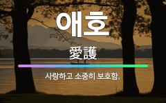 🌟애호: 사랑하고 소중히 보호함. - 표준국어대사전