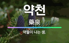 🌟약천: 약물이 나는 샘. - 표준국어대사전