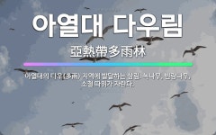 🌟아열대 다우림: 아열대의 다우(多雨) 지역에 발달하는 삼림. 녹나무, 빈랑나무, 소철 따위가 자란다. - 표준국어대사전